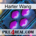Hard Wang 04